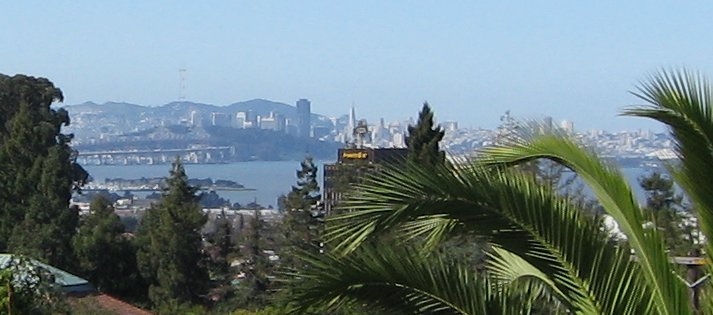 View of San Francisco from my office desk